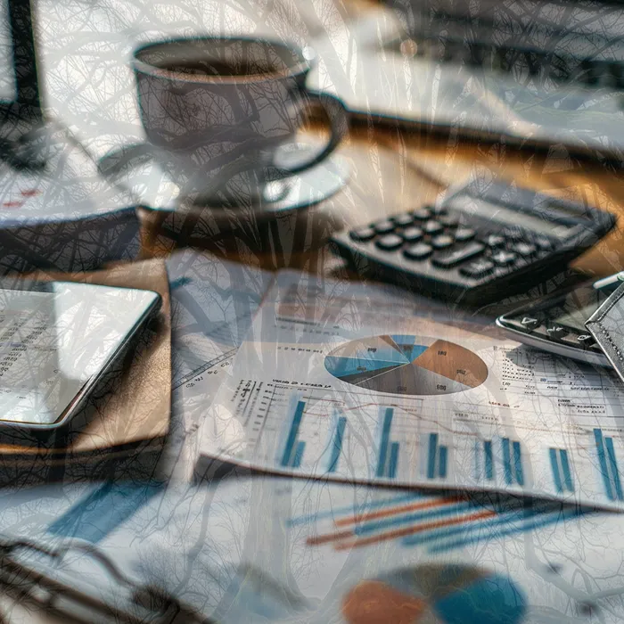 기대출과다자대환대출 연체 시